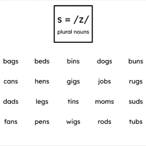Orton-Gillingham Printable Phonics Lesson: s = /z/ Words